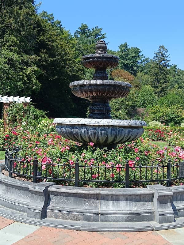 Central Park Rose Gardens - Image 2