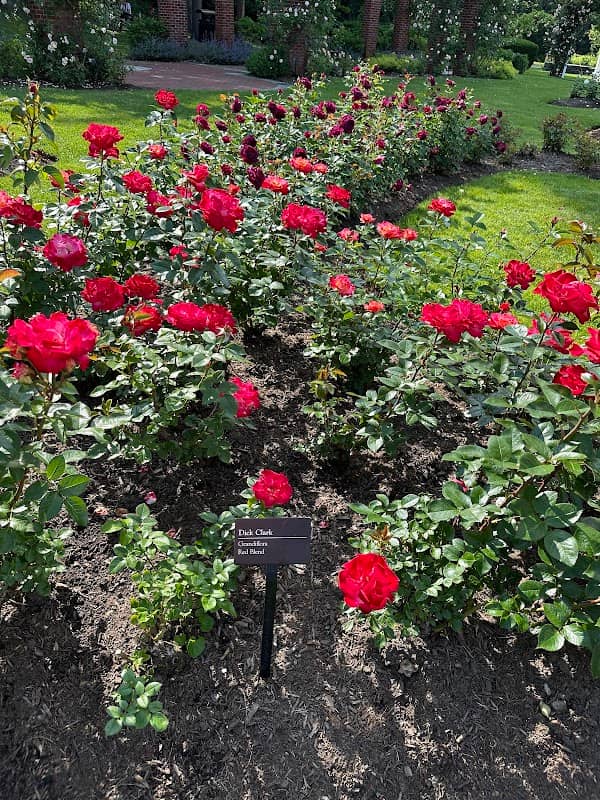 Central Park Rose Gardens - Image 3