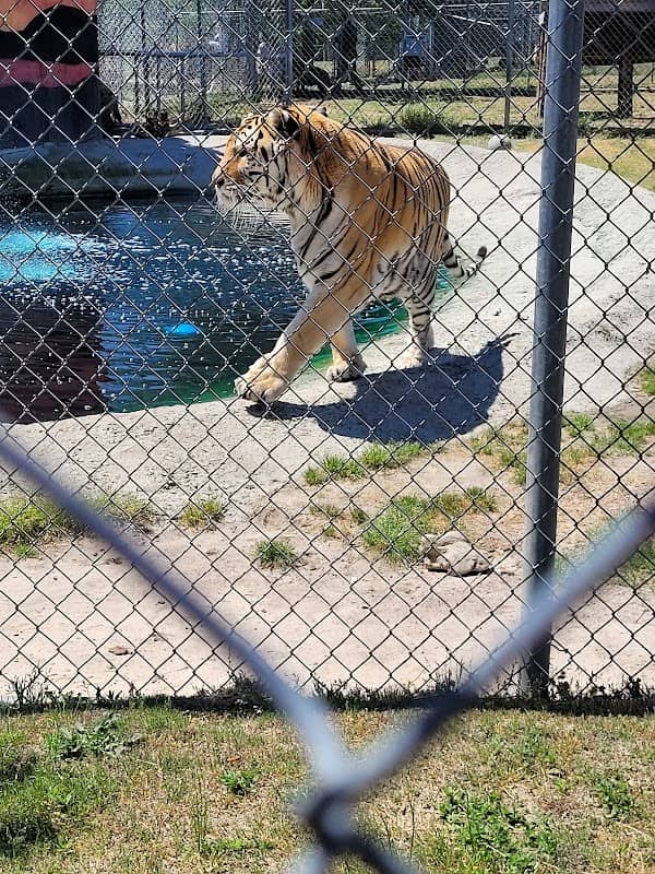Aloha Safari Park - Image 1