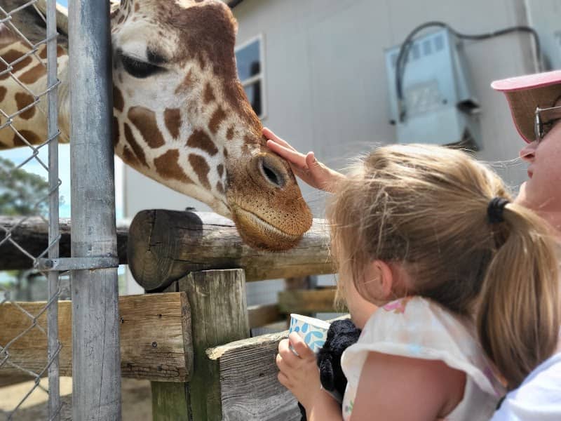 Aloha Safari Park - Image 2