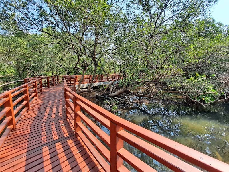 โครงการป่าในเมืองจังหวัดระยอง - Image 1