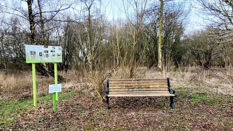 Bluebell Wood - Image 2