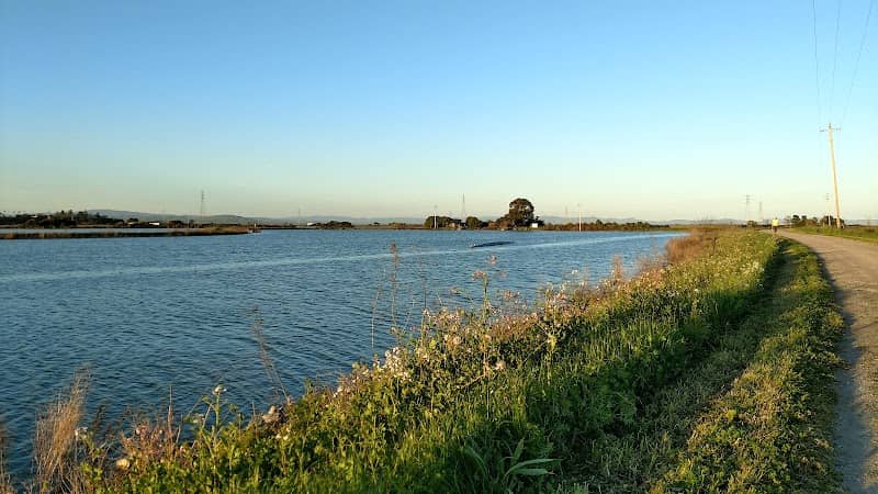 McInnis Park - Image 3