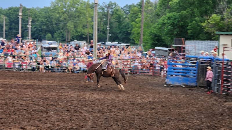 Cass County Fair - Image 2