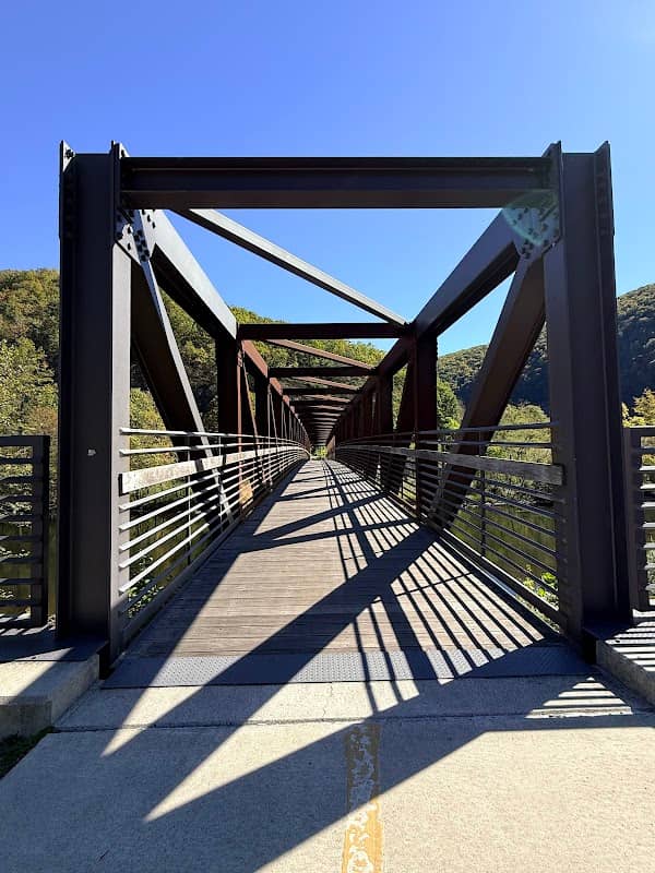 Mansion House Bridge - Image 2
