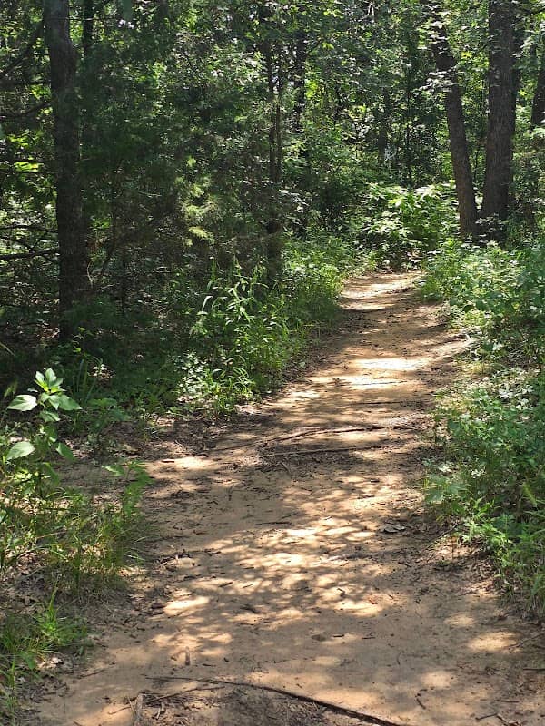 Oak Valley Park North - Image 2