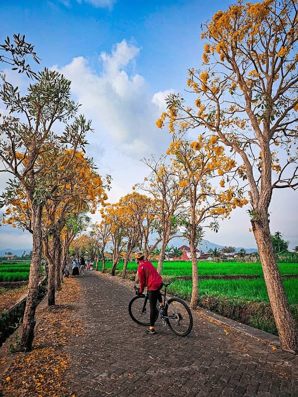 Bumi Lumbung Pendem - Image 2