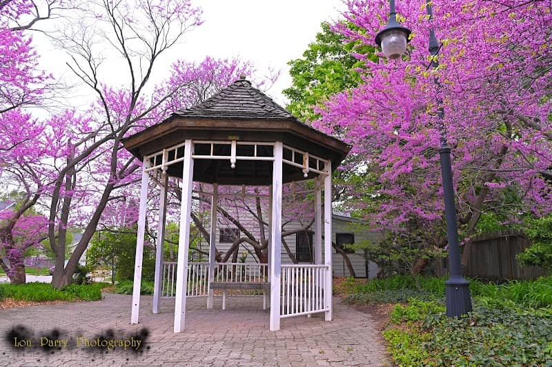 Terry Fox Park - Image 2