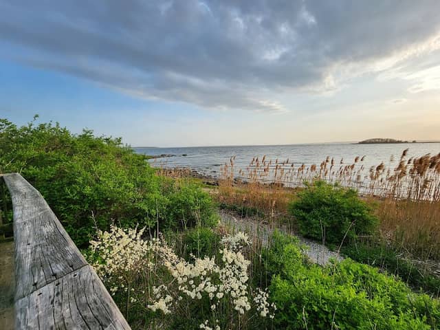 End of the Boardwalk - Image 2