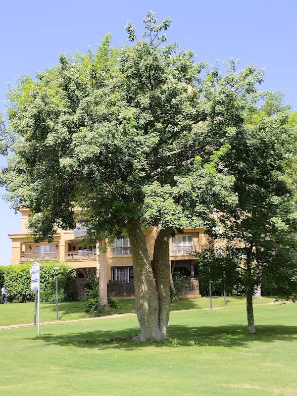 Group 14 Park - Image 1