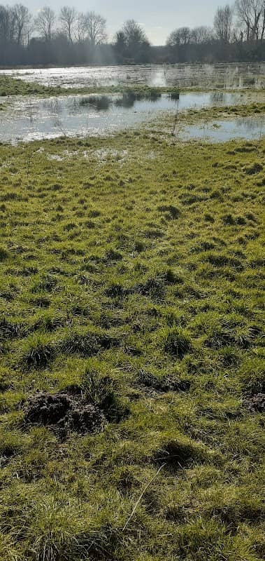 National Trust - Stockbridge Down - Image 2