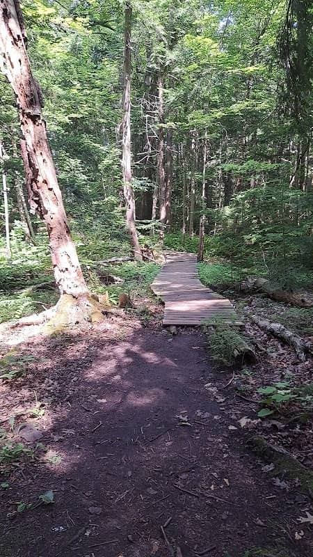 Seaton Trail Stairs - Image 1
