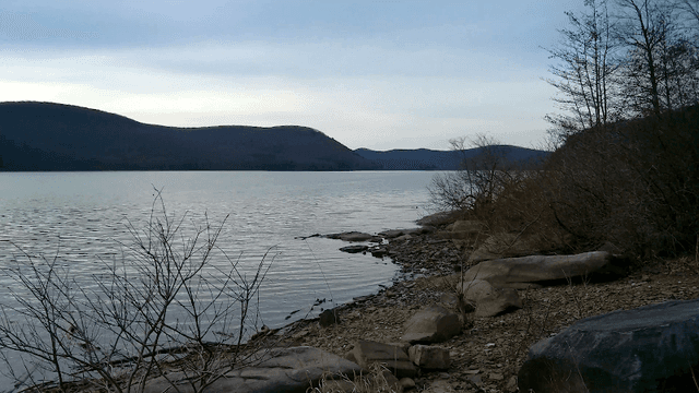 Hedberg Cove - Image 1