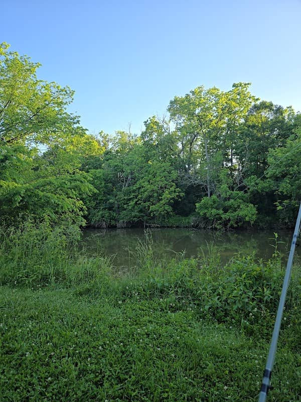 Cardome Park - Image 3