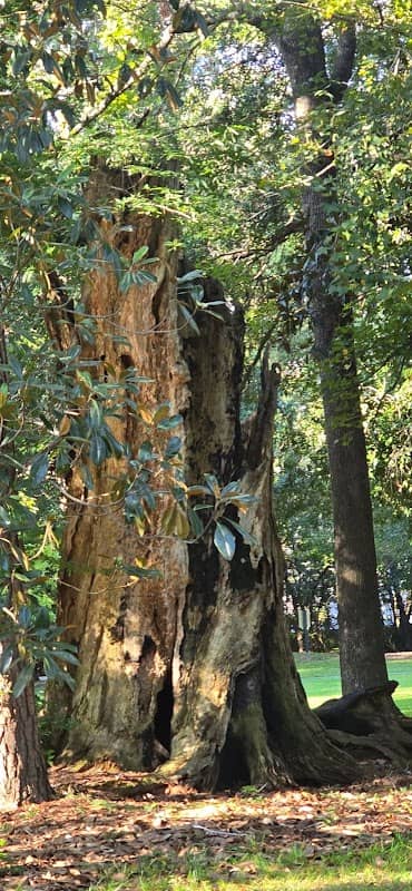Broom Hall Park - Image 1