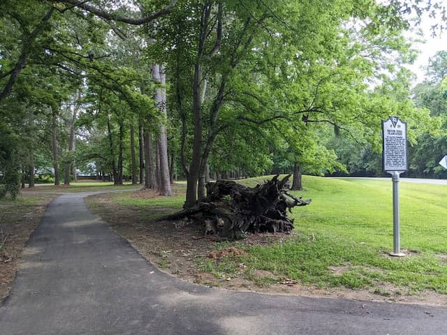 Broom Hall Park - Image 3