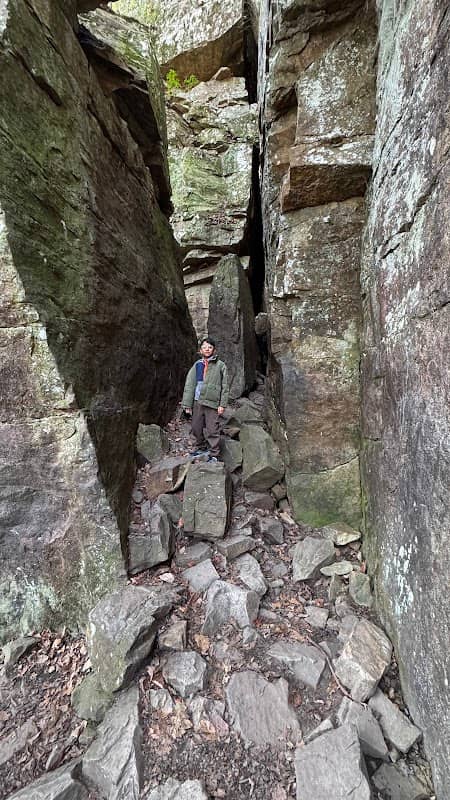 Fall Creek Falls Overlook - Image 2