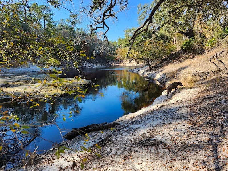 Florida Trail Swift Creek Trailhead - Image 1