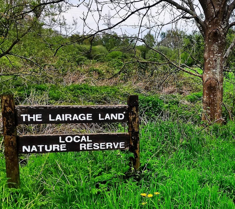 The Lairage Land - Image 2