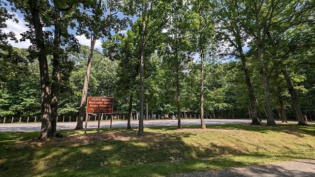 Storck Woods Nature Preserve - Image 2