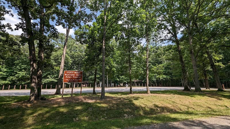 Storck Woods Nature Preserve - Image 2