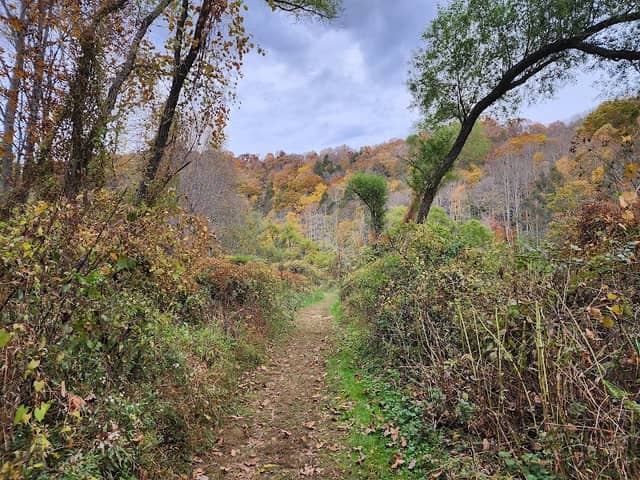 New River State Park - Image 3
