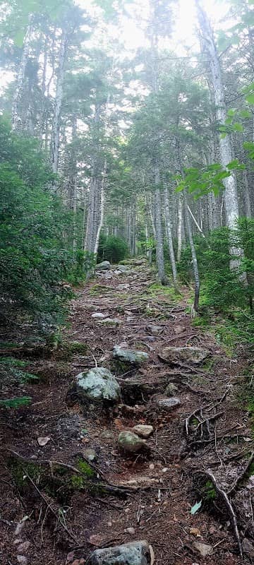 Boott Spur - Image 2