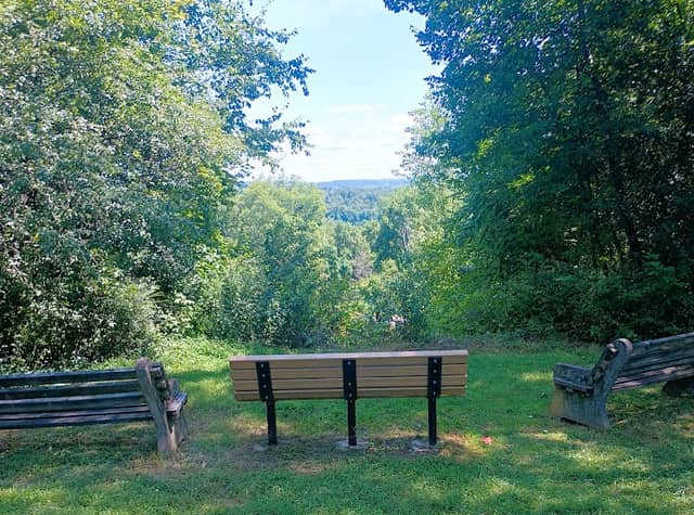 Maples Camping Area - Image 1