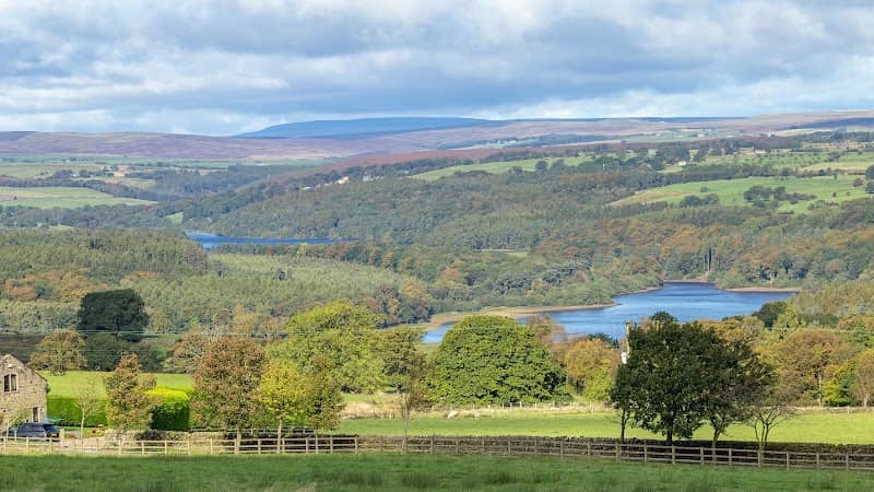 Stainburn dh - Image 2