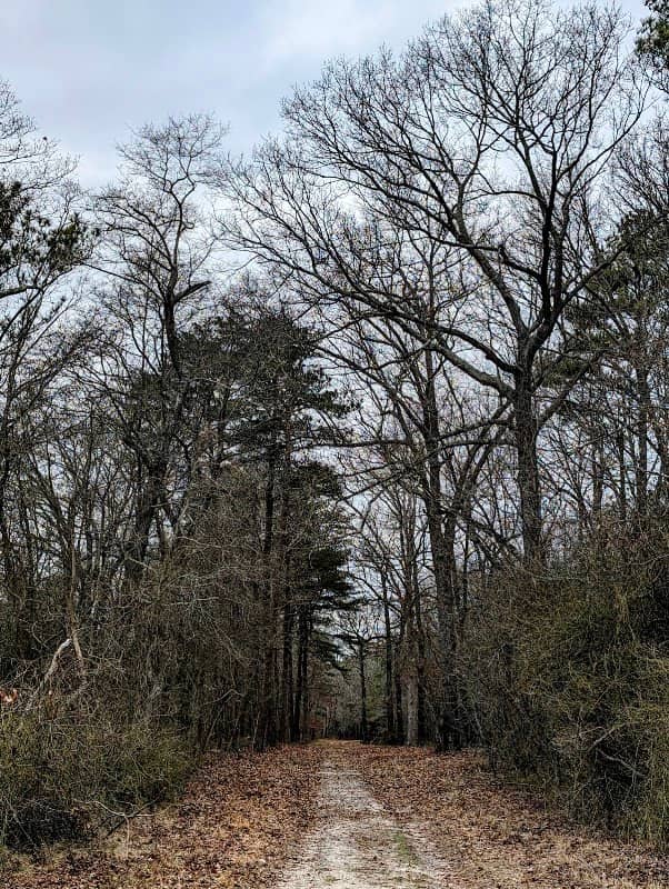 Idylwild Wildlife Management Area Small Parking Lot - Image 1
