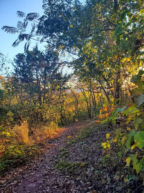 Mount Rachel Trail - Image 2