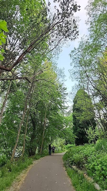 Angle Lake Park Nature Trail - Image 2
