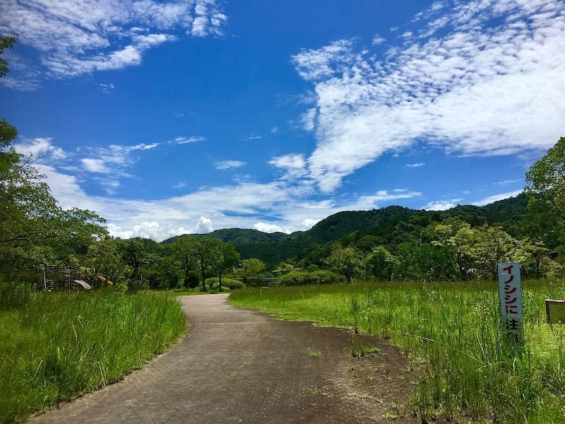 Gankai Park - Image 1