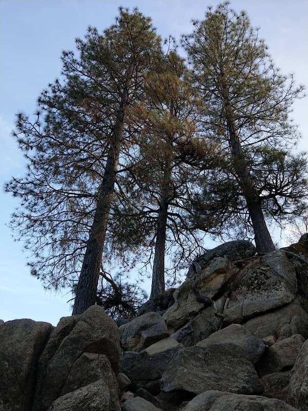 Pinepoint Picnic Site - Image 2
