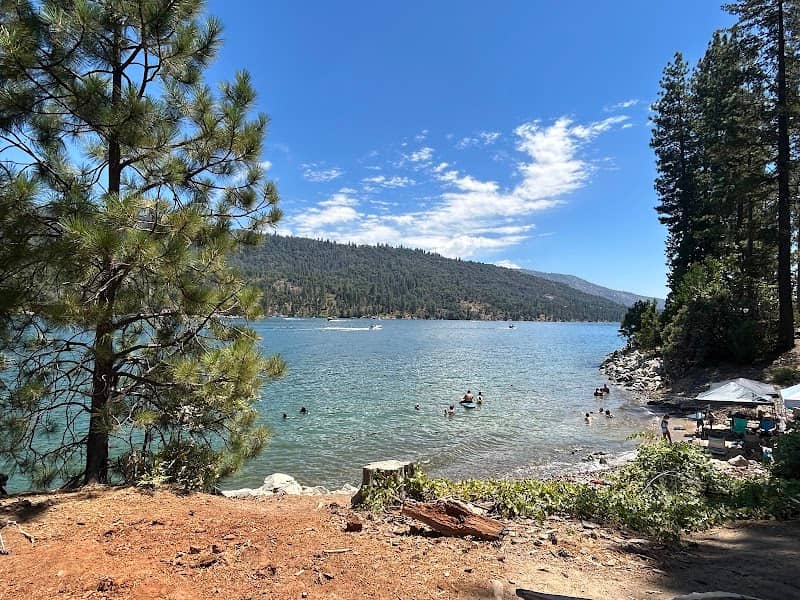 Pinepoint Picnic Site - Image 1