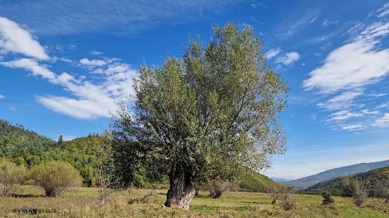 Valea Garnici - Image 1