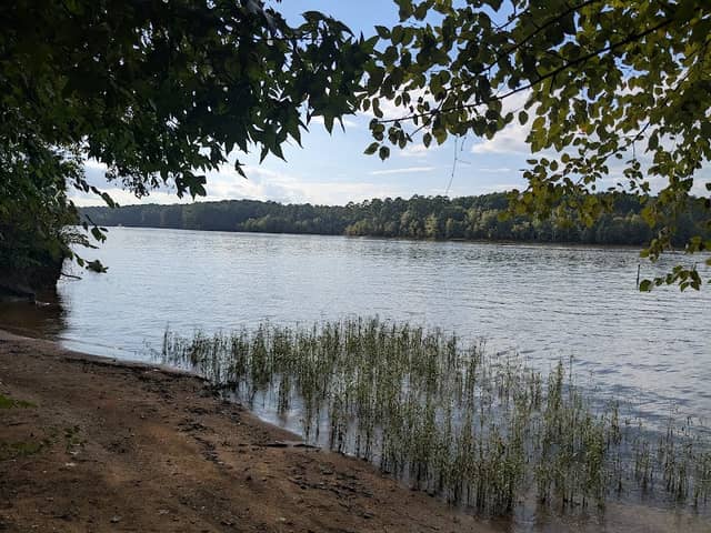 Falls Lake Trail (MST) - Image 3
