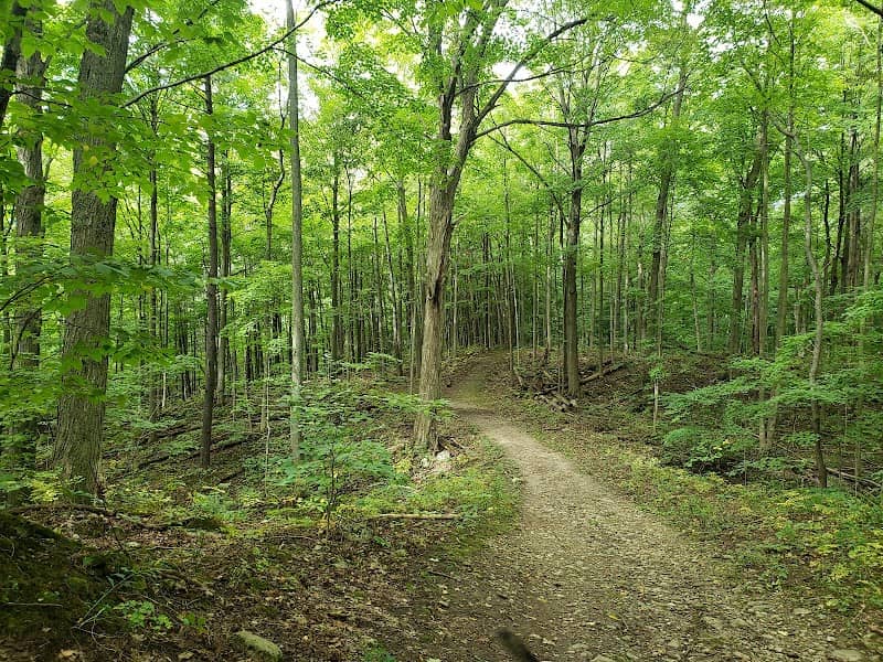 Dryden Tract - Image 1