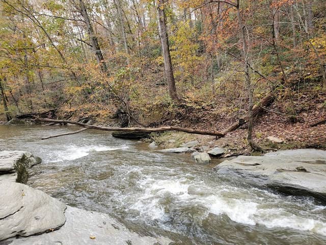 Morgan Run Fishing Platform - Image 2