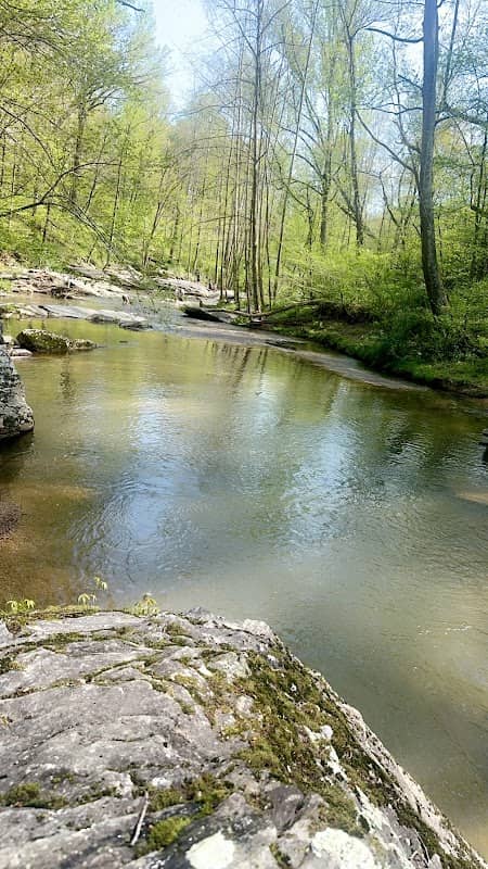 Morgan Run Fishing Platform - Image 1
