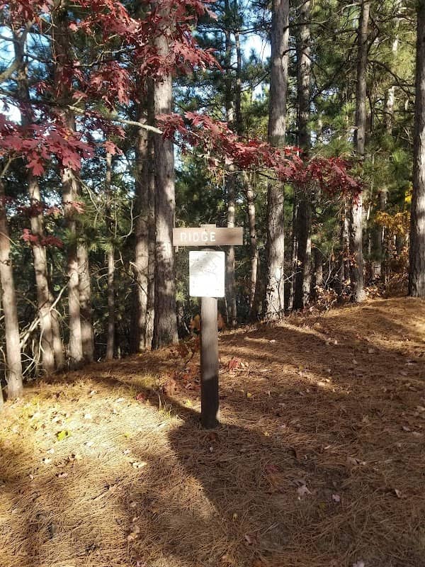 Black River State Forest - Image 2