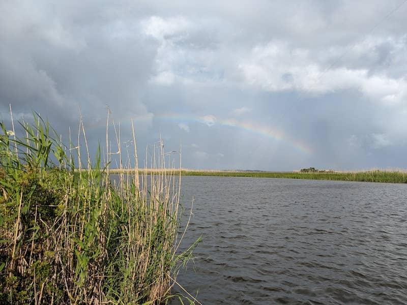 Escambia River State Wildlife Management Area - Image 1