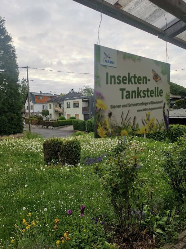 Naturschutzgebiete Birlenbach - Image 1