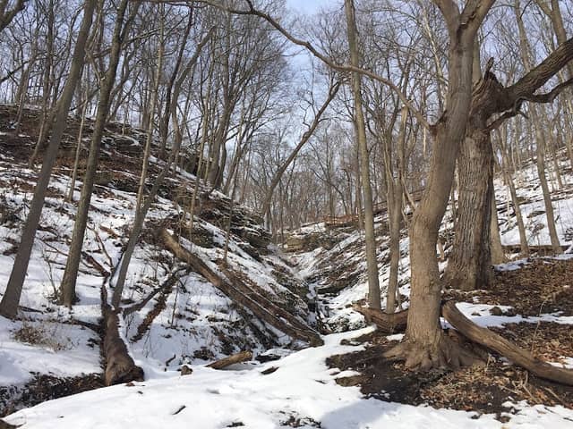 Kishwaukee Gorge North Forest Preserve - Image 2