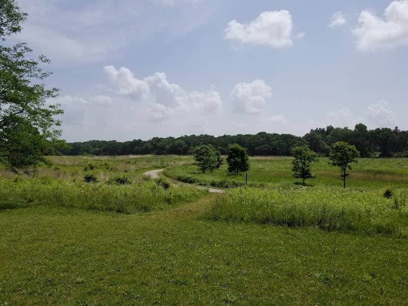 Grassy Ridge Meadow - Image 1
