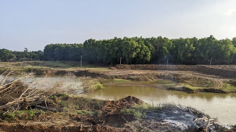 Marsur Lake/Settahalli Lake/Kere - Image 2
