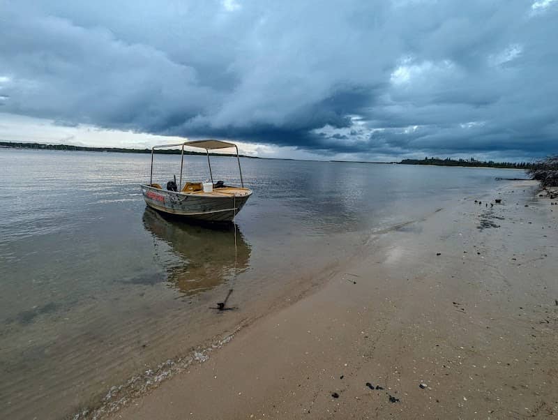 Pelican Island - Image 2