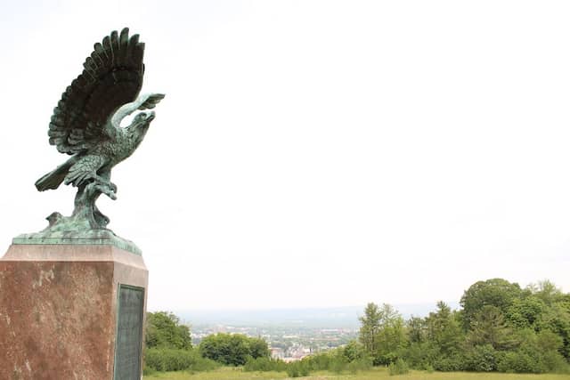 The Eagle - Image 1