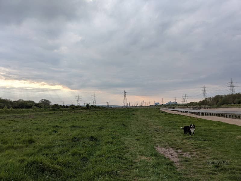 Dee Park - Image 2