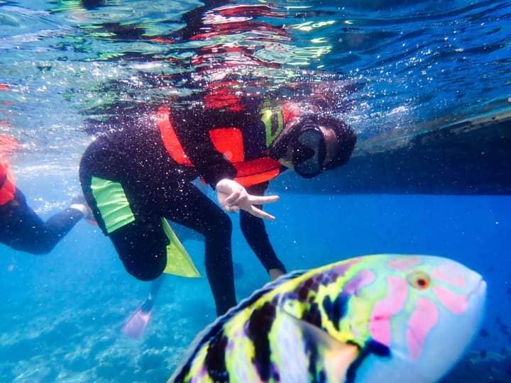 Paket Wisata Bunaken Manado Kana Tour dan Travel - Image 2